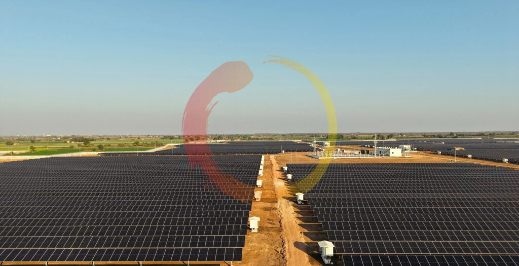 Soladi Plant