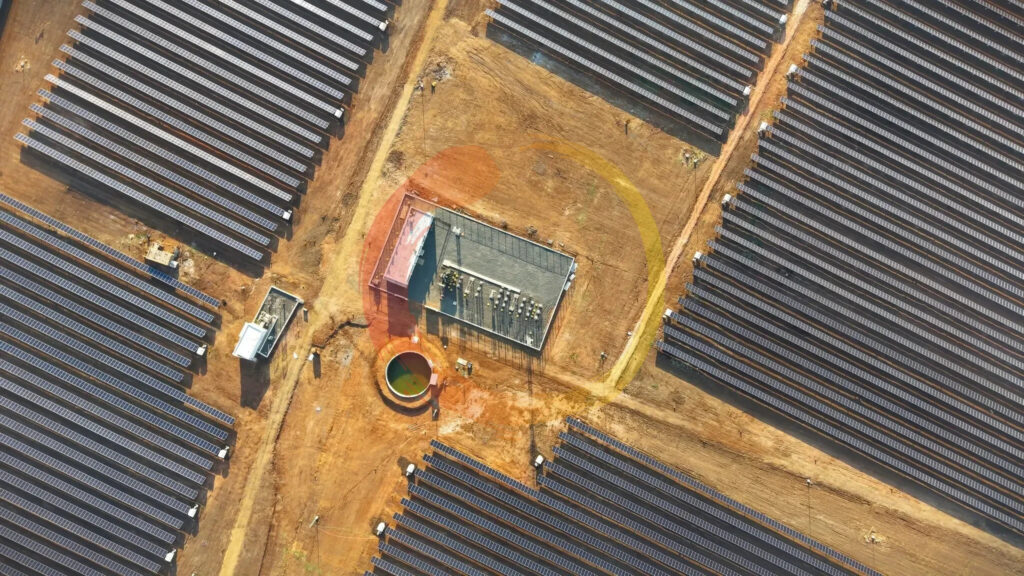 Soladi Plant