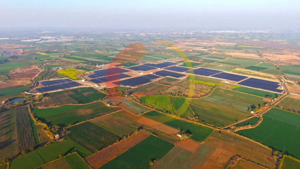 Soladi Plant