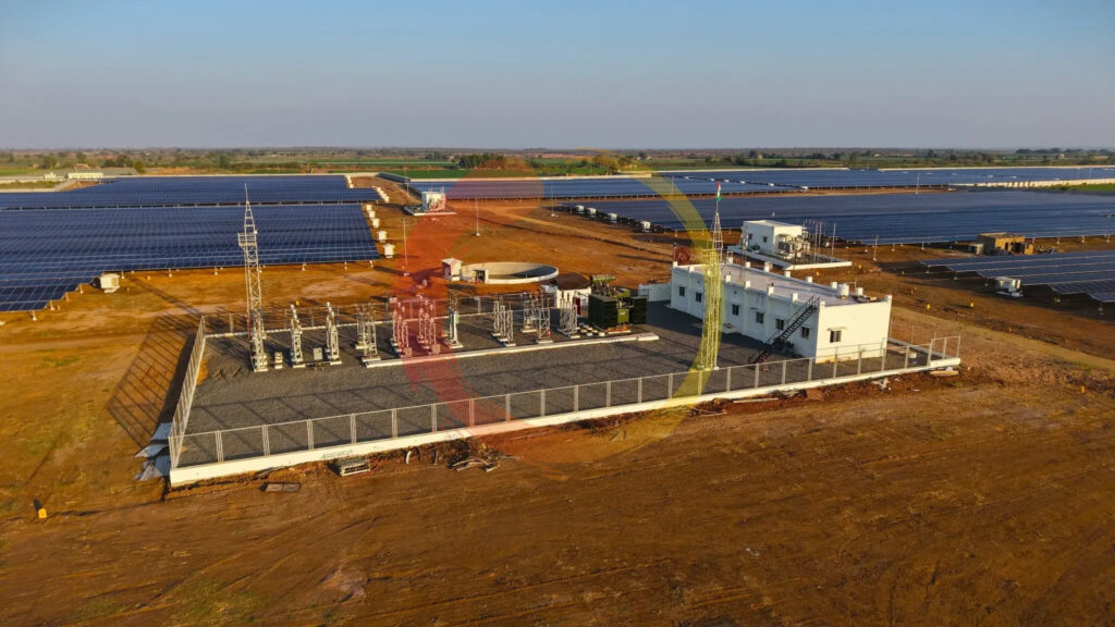 Soladi Plant