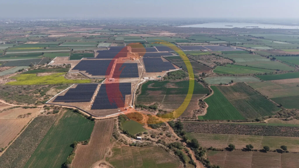 Soladi Plant