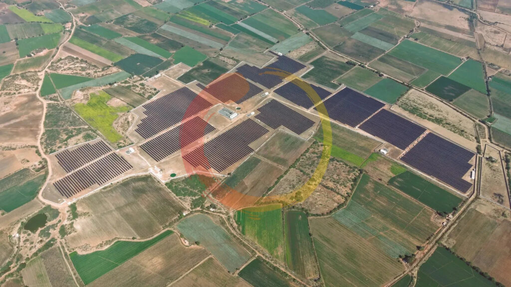 Soladi Plant