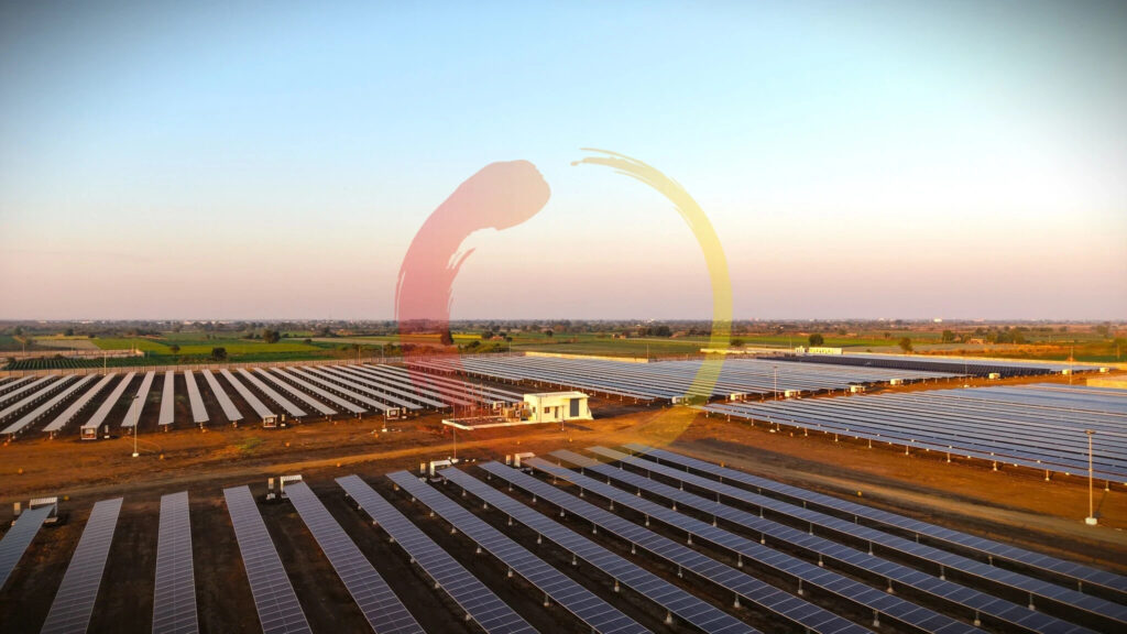 Soladi Plant