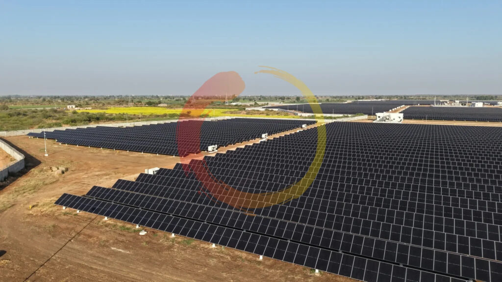 Soladi Plant