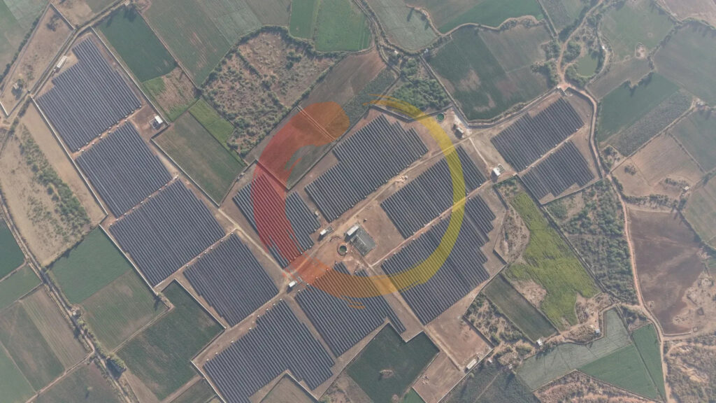 Soladi Plant