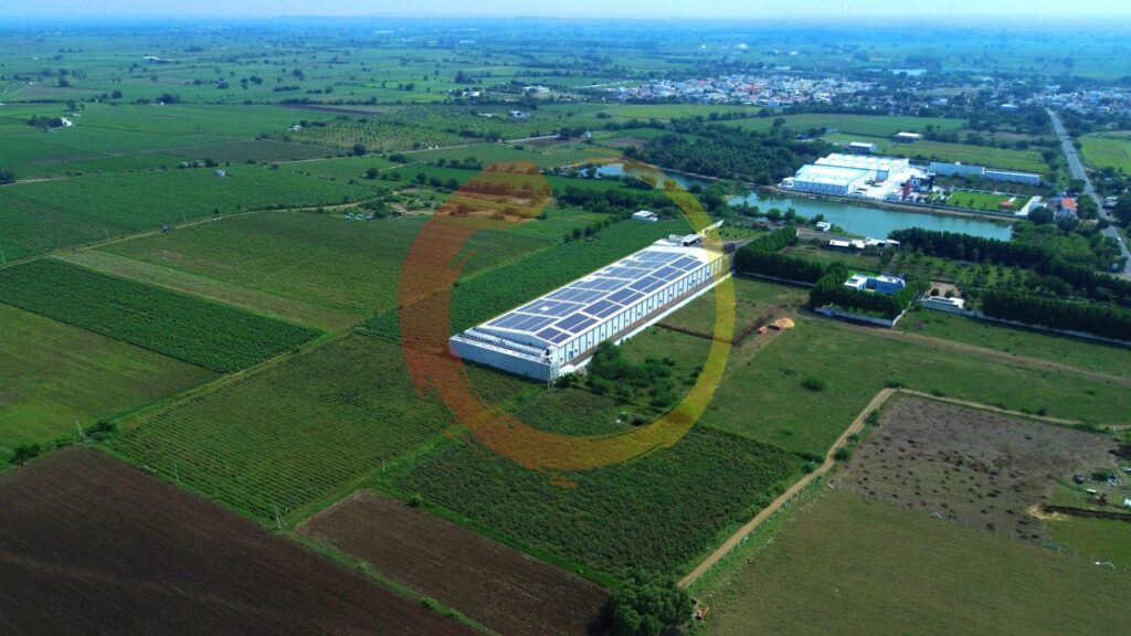 Oryn Polypack LLP