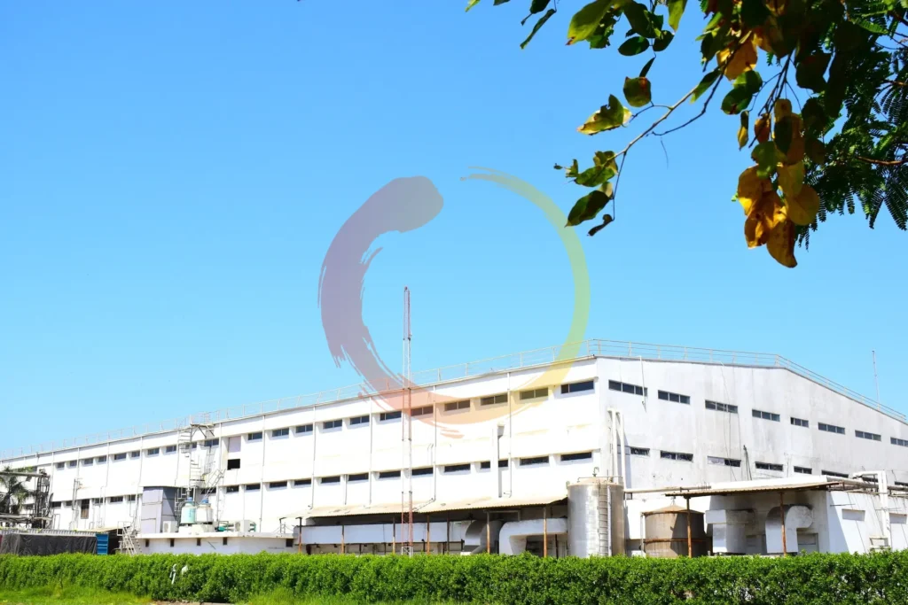 Leamak Healthcare Pvt. Ltd.