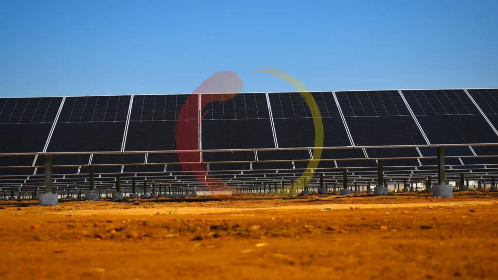 Soladi Plant